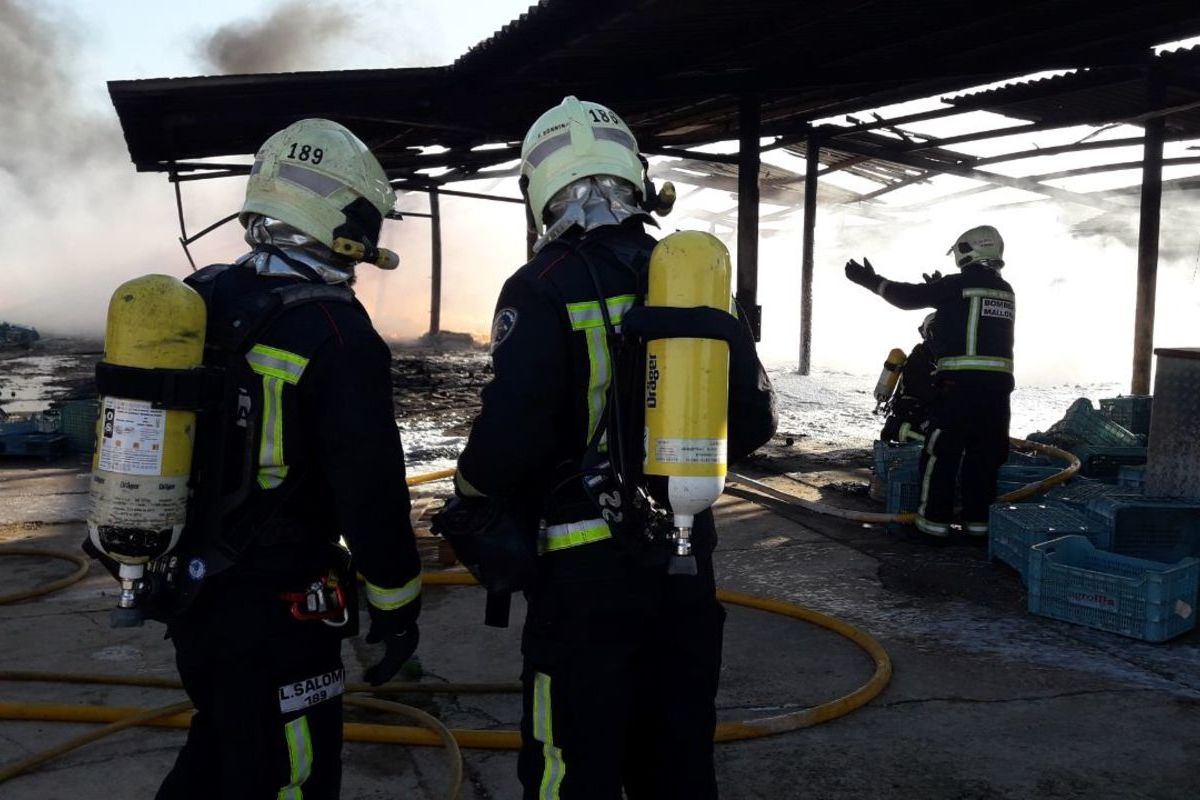 Miembros del servei de Bombers de Mallorca actuando en un incendio.