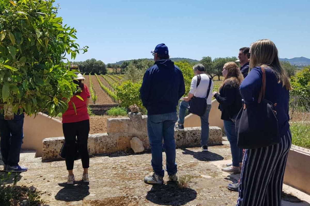 El grupo de agentes de viajes durante una visita a unas viñas de Mallorca