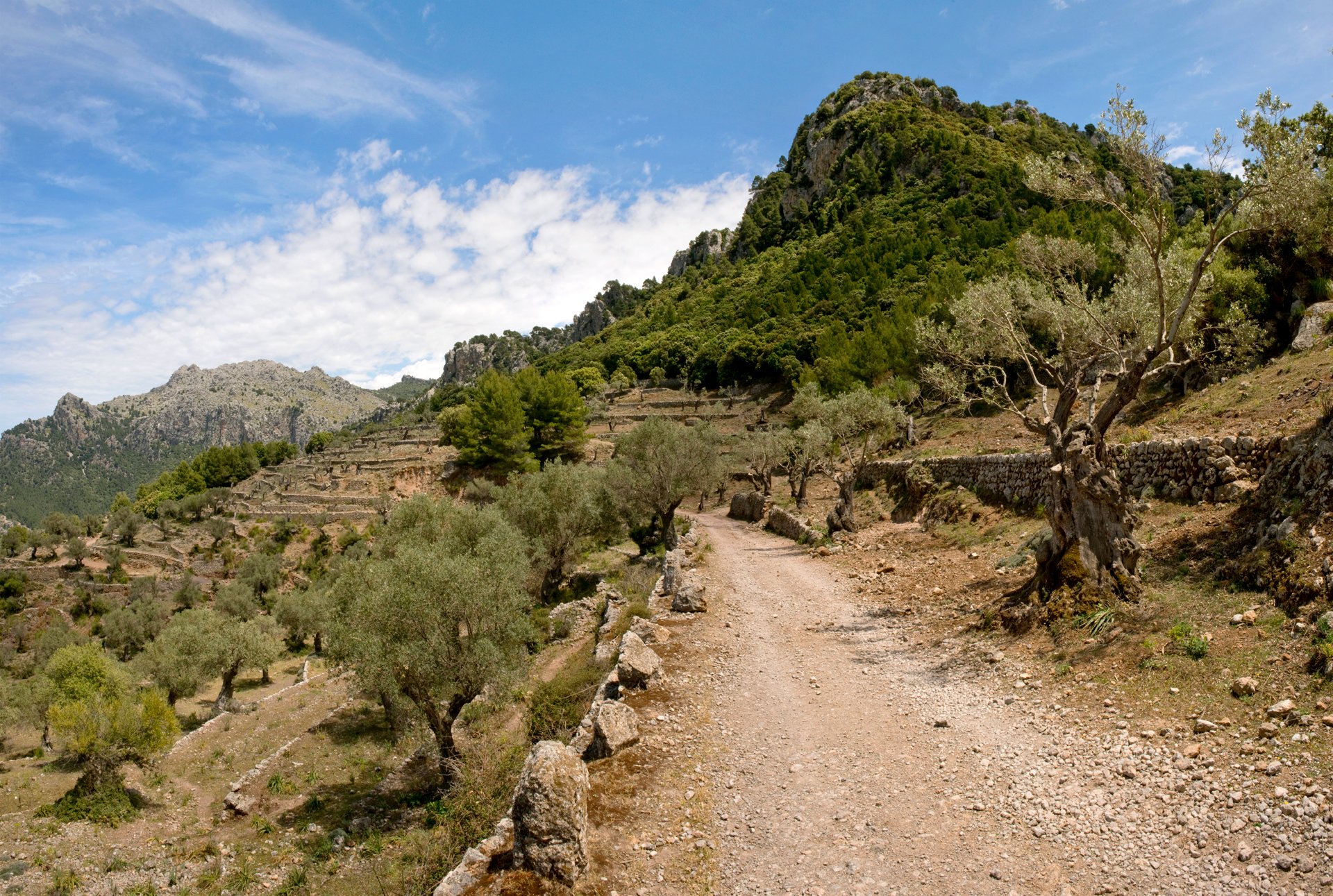 Un camino de la Serra de Tramuntana.
