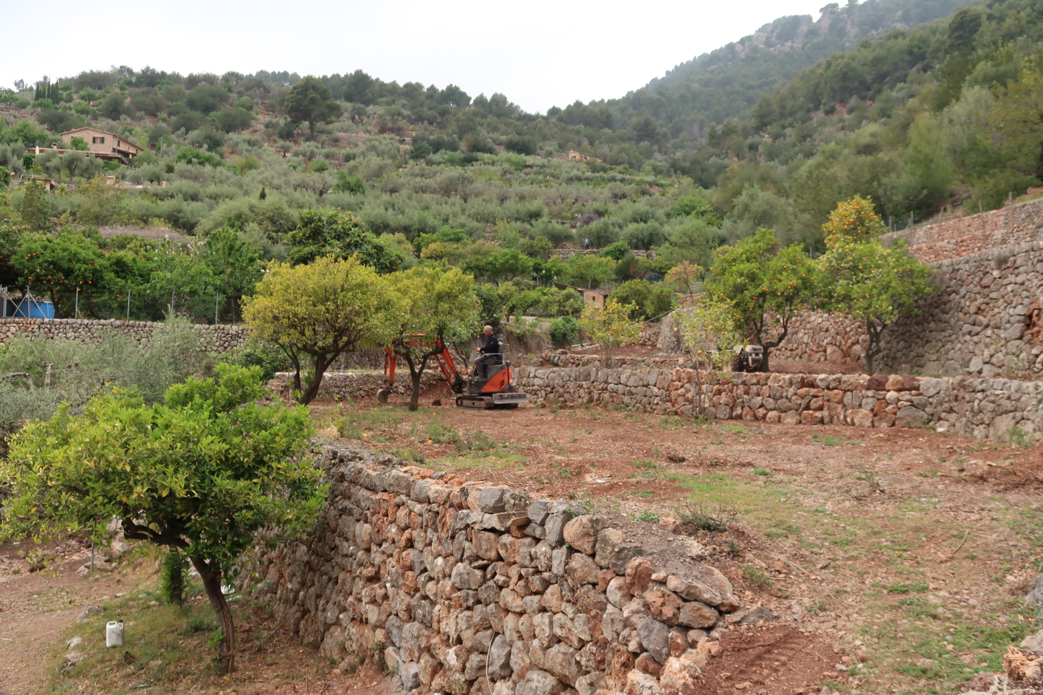 L’Ajuntament de Fornalutx està adequant els terrenys municipals de sa Coma amb una subvenció de Mallorca Rural. 