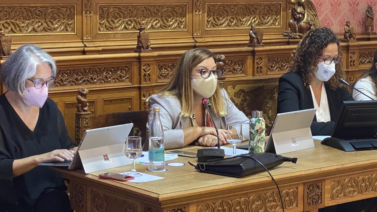 Bel Busquets interviene en el plenario para defender la aprobación incial del reglamento de la Comisión interdepartamental de Política Lingüística del Consell de Mallorca