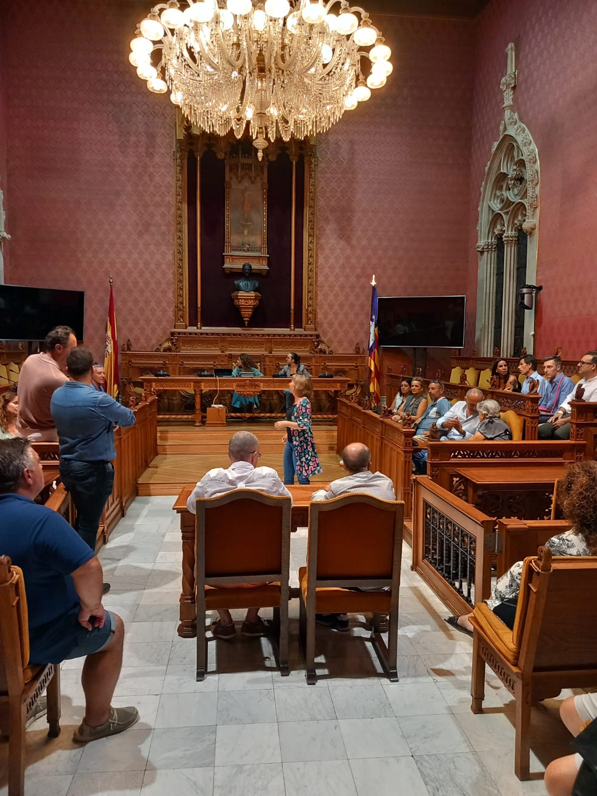 Els participants a la Sala de Plens del Palau del Consell de Mallorca