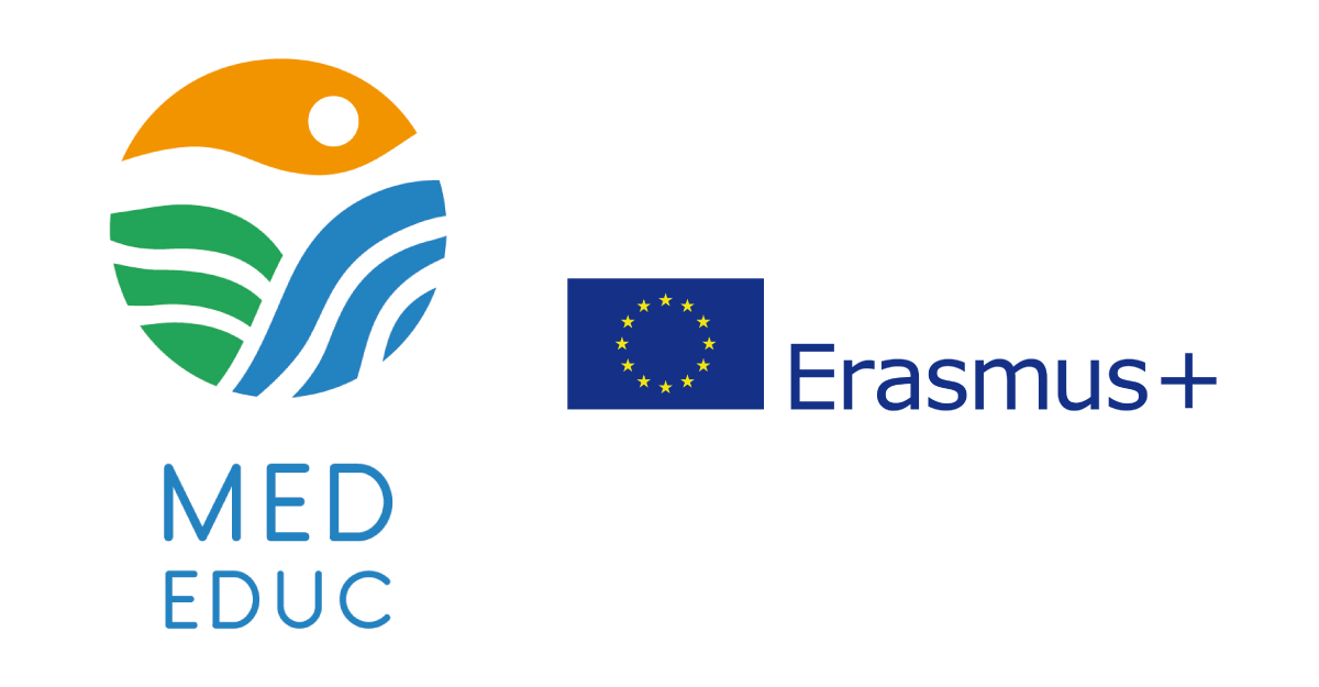 Logo projecte europeu